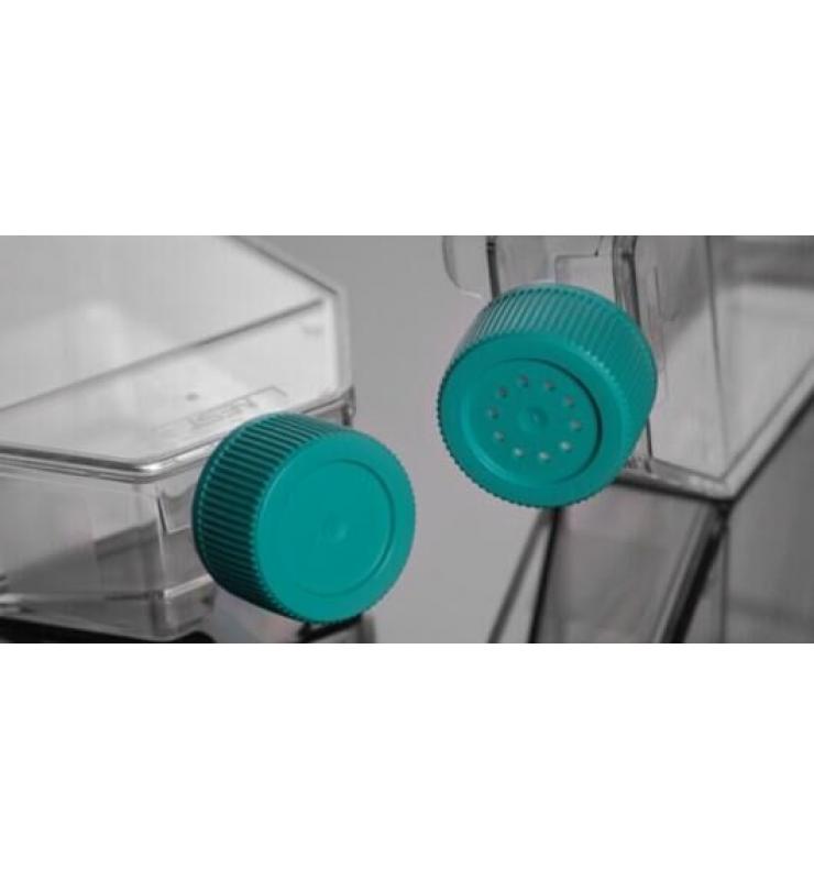 細胞培養(yǎng)瓶